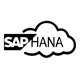 Our SAP S/4HANA Expertise